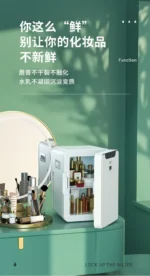 Car Mini Refrigerator Portable Small Fridge for Dorm Room Car Home Dual Use Breast Milk Storage  kühlschrank auto - Image 14