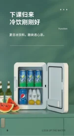 Car Mini Refrigerator Portable Small Fridge for Dorm Room Car Home Dual Use Breast Milk Storage  kühlschrank auto - Image 17